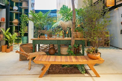 Abô Botânica e Café